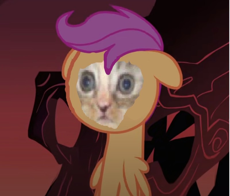 Create meme: my little pony sleepless in ponyville, pony , my little pony friendship is magic 