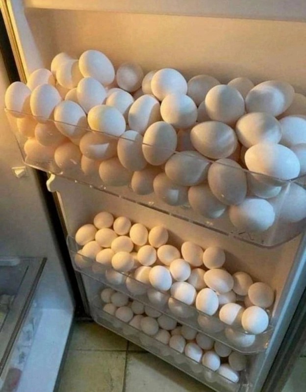 Create meme: A fridge full of eggs, egg , chicken eggs