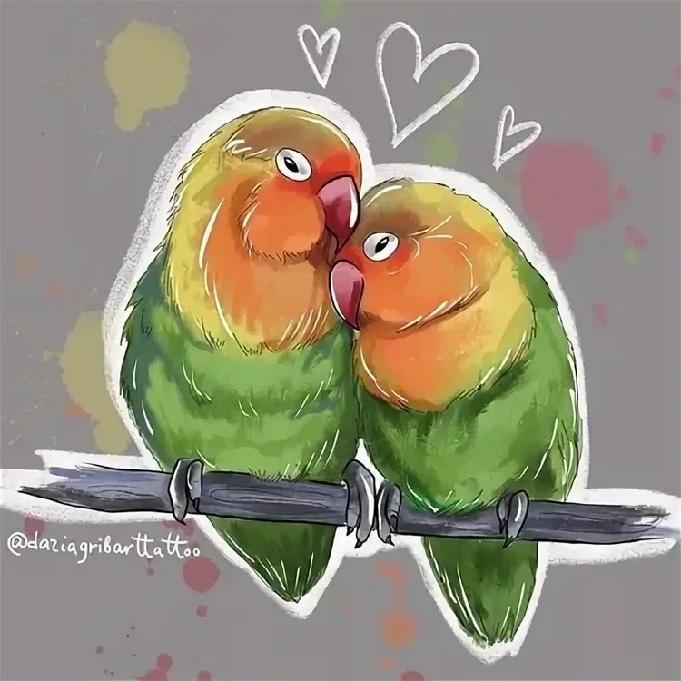 Create meme: Lovebirds picture, parrots lovebird, Lovebirds parrots watercolor