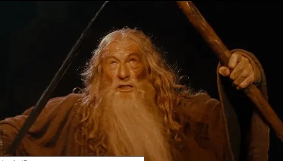 Create meme: Gandalf you shall not pass, Gandalf run you fools, Gandalf from Lord of the rings