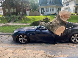 Создать мем: авто, машина, дерево упало на автомобиль сток