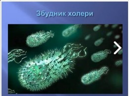 Создать мем: вирус бешенства, вирусы бактерий, микроорганизмы