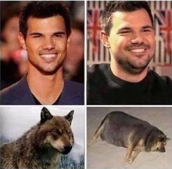 Create meme: Taylor Lautner , Taylor Lautner is fat, Jacob from twilight