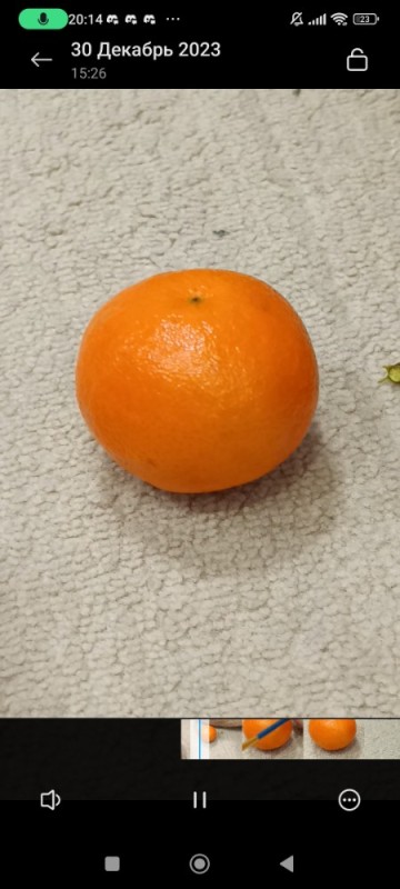 Create meme: big tangerine, Mandarin , orange 