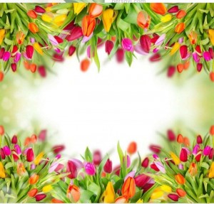 Создать мем: фон с тюльпанами для буклета, цветочные рамки тюльпаны, красивый фон с тюльпанами