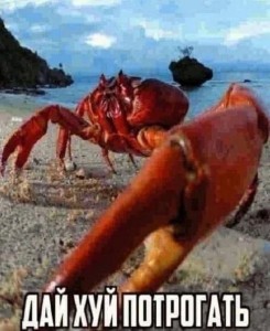 Create meme: crab