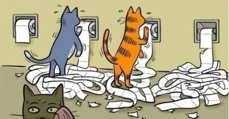 Create meme: cat gym toilet paper, cat cat, cat 