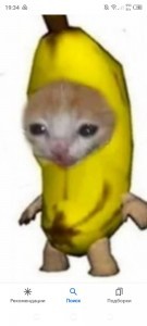 Создать мем: плачущий кот в костюме банана, кот бананчик, кот банан мем