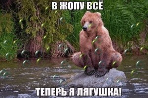 Создать мем: funny animal, фото ну допустим ква, акция толоконниковой медведь