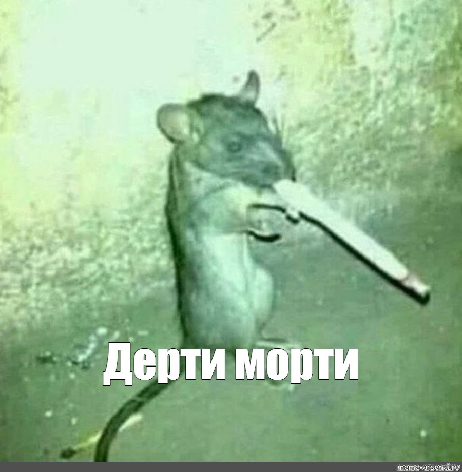 Мем с мышкой с большими глазами. Мышь с сигаретой. Крыса с сигаретой. Мышь курит сигарету. Мышь Мем.