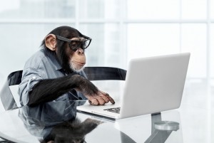 Create meme: the monkey behind the laptop, monkey behind a computer, monkey in the office