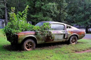Создать мем: заброшенные автомобили, мустанг форд 1967 ржавый, старая машина
