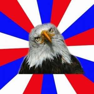 Create meme: the eagle, american flag, bald eagle