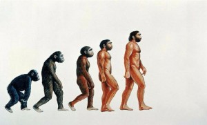 Создать мем: теория дарвина, происхождение человека, эволюция дарвина