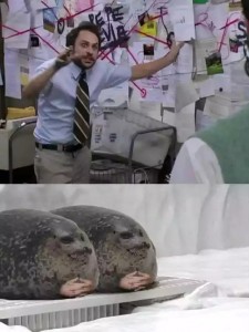 Создать мем: животные смешные, мемы, мем с человеком который объясняет тюленю