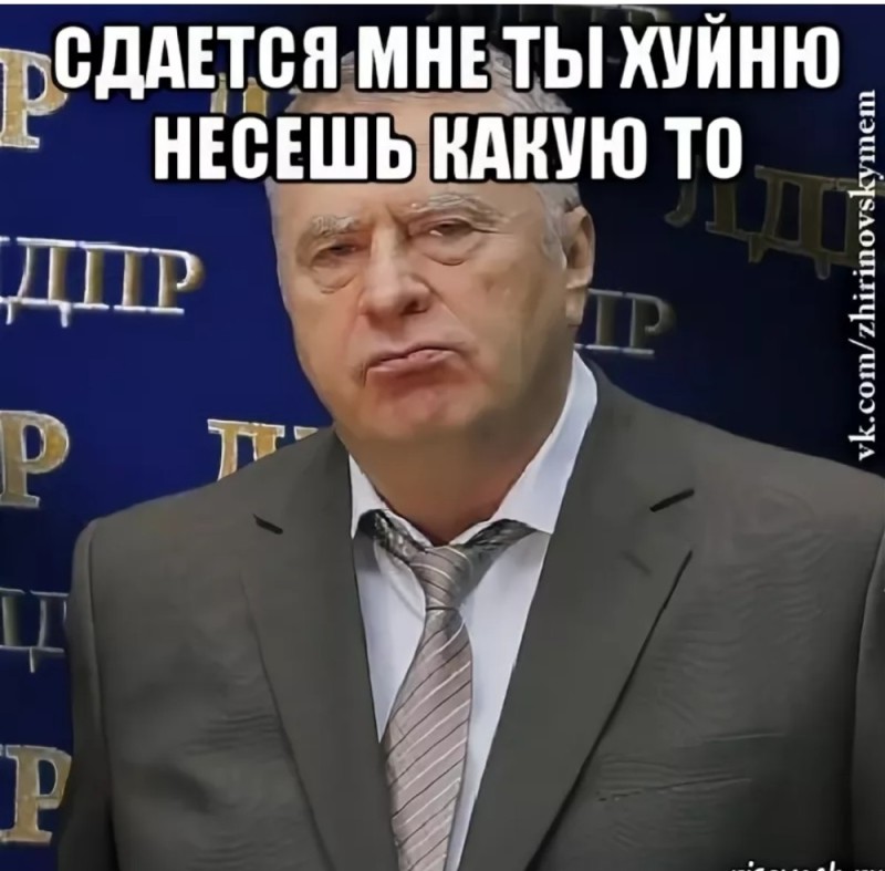 Создать мем: владимир жириновский, хватит это терпеть мем, придется это терпеть жириновский