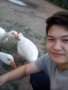 Create meme: martı, family of geese, goose