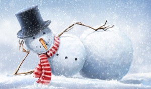 Создать мем: зима новый год, забавный снеговик, новый год снеговик
