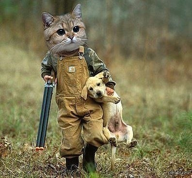 Create meme: cat on the hunt , cat with a gun, Yegor Letov 