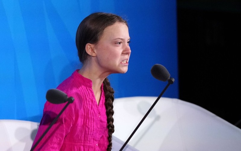 Create meme: greta thunberg memes, Greta Thunberg stop killing, greta thunberg jokes