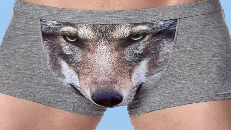 Create meme: wolf underpants, men's underpants with a wolf, meme cowards with a wolf
