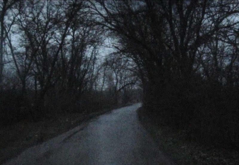 Create meme: road forest, darkness, road 