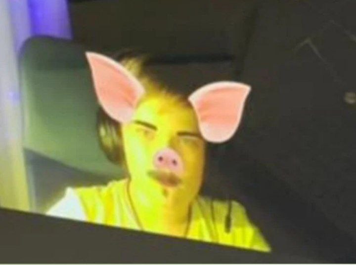 Create meme: location, pig , pig head