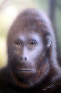 Create meme: woolly monkeys, Australopithecus sediba, monkey
