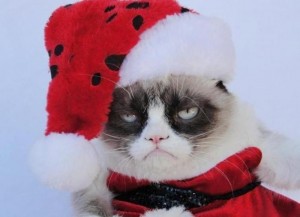 Создать мем: новый 2018 год, grumpy cat, с др кароч фото