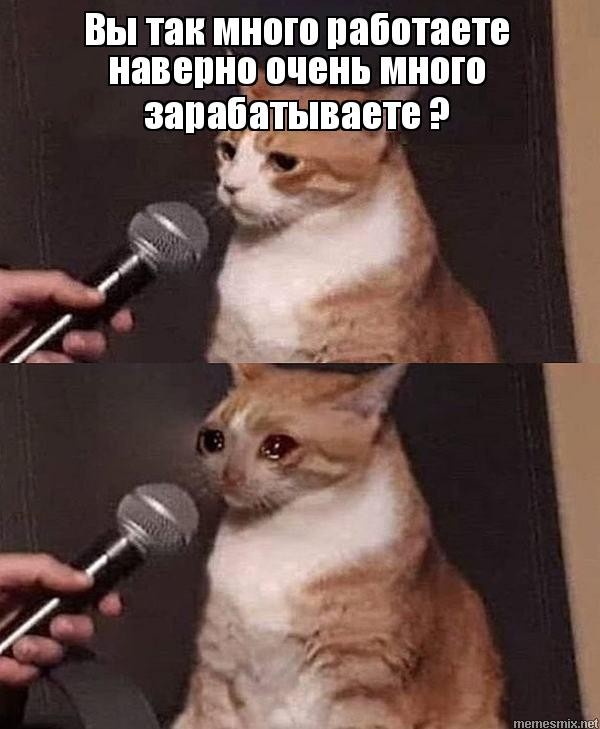 Создать мем: мем кошка, коты мемы, мем кот с микрофоном