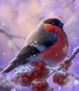 Create meme: Bullfinch