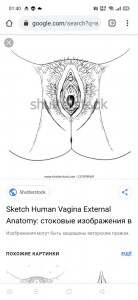 Create meme: vagina