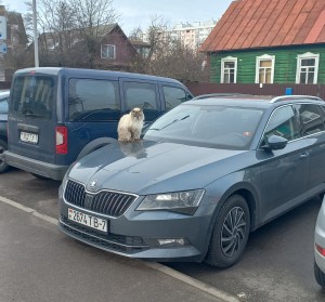 Создать мем: Lexus GS III Рестайлинг, skoda superb 2017, серая шкода