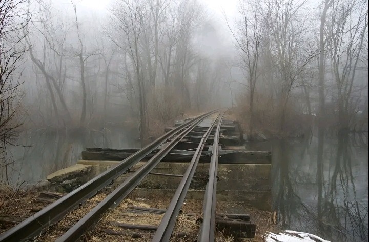 Create meme: railroad , the road in the forest, railway in the forest