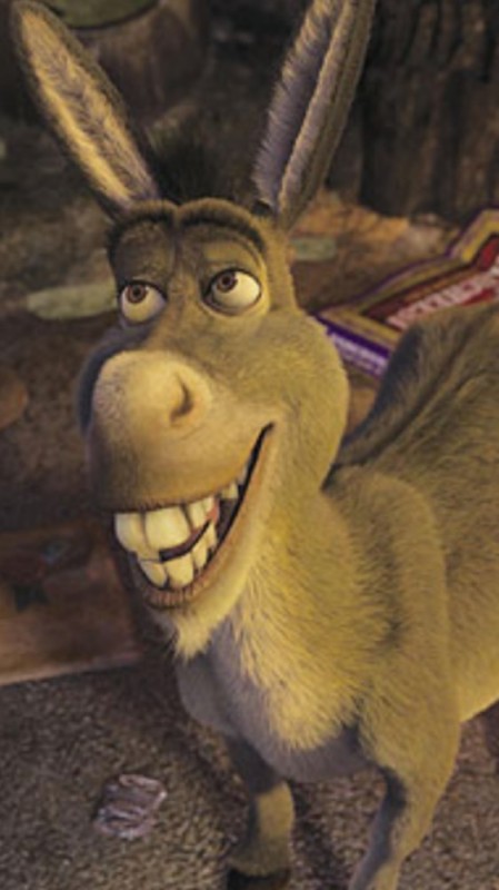 Create meme: donkey shrek 2, similar celebrities, donkey from Shrek 