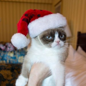 Создать мем: безудержное новогоднее веселье, мемы грампи кэт рождество, угрюмый кот