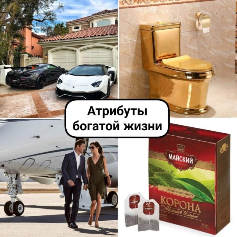 Create meme: the Golden bowl , the toilet , a gorgeous garage