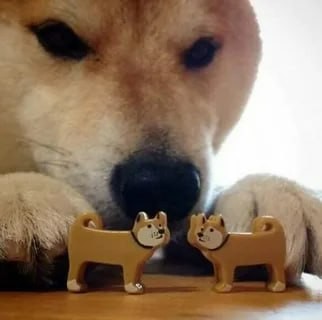 Create meme: Shiba inu bites, dog bites, dog bites