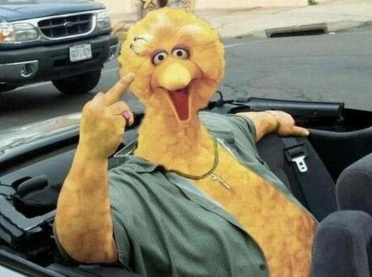 Создать мем: big bird meme, memes big bird, большая птица улица сезам