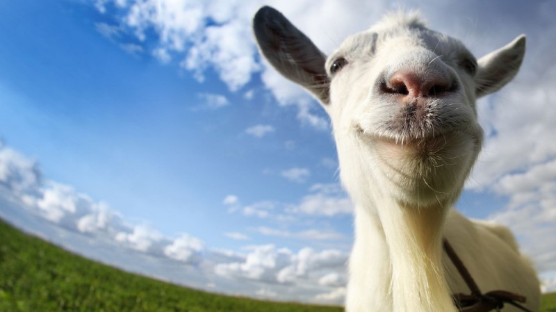 Create meme: goat sim, goat simulator, goat simulator 