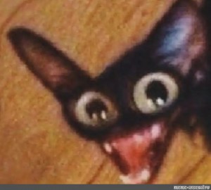 Cat with red eyes meme