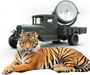 Create meme: truck night, tiger, cat and lamp