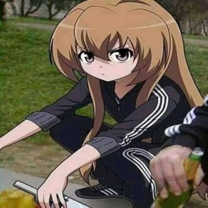 Create meme: Laika, anime, Aisaka taiga Gopnik