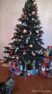 Create meme: tree, Christmas tree, dressed Christmas tree