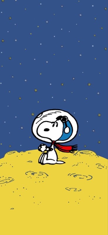 Create meme: charlie brown, snoopy , snoopy the astronaut