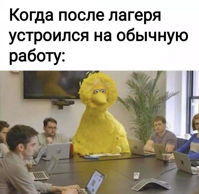 Создать мем: apple корпорация мемы, nobody sesame street, big bird meme