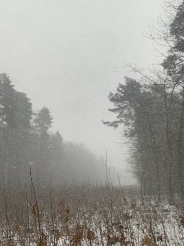 Create meme: Moscow region in winter, forest , snow 