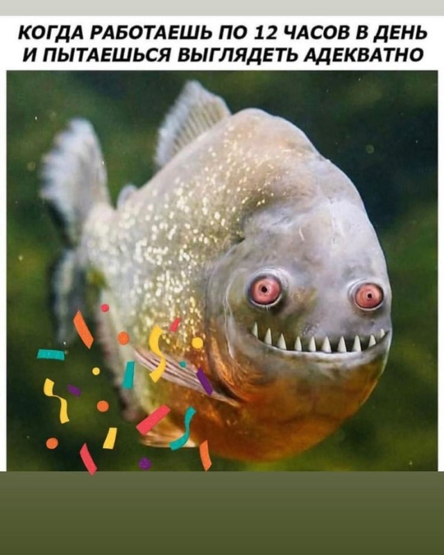 Создать мем: рыба улыбака, пираньи, пиранья с человеческими зубами