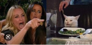 Создать мем: мем бабы и кот, мем с орущей женщиной и котом, мем с котом за столом