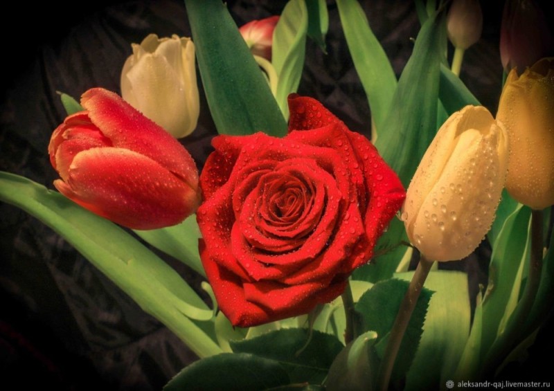 Создать мем: красивые розы и тюльпаны, красивые цветы тюльпаны, тюльпаны